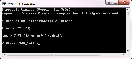 DNS 캐시 플러시 명령 실행 화면